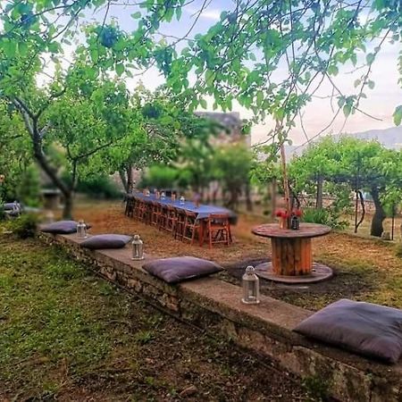 Domus Narnia旅舍 外观 照片